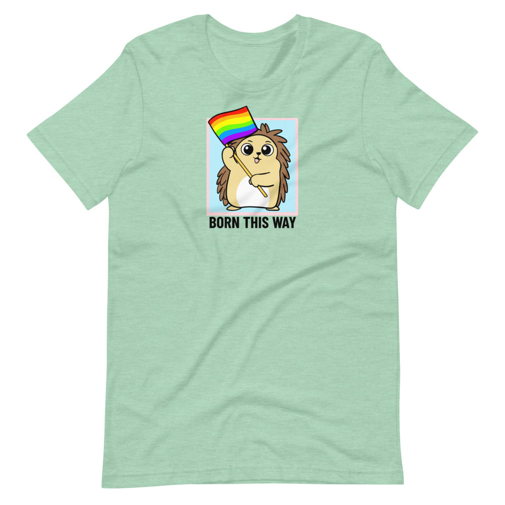 Born This Way LGBT Pride Cartoon Porcupine Short-Sleeve Unisex T-Shirt